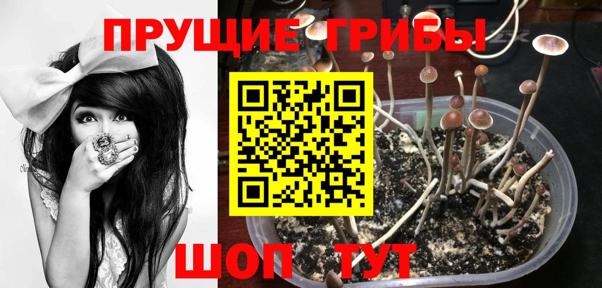 Галлюциногенные грибы Magic Shrooms Прохладный