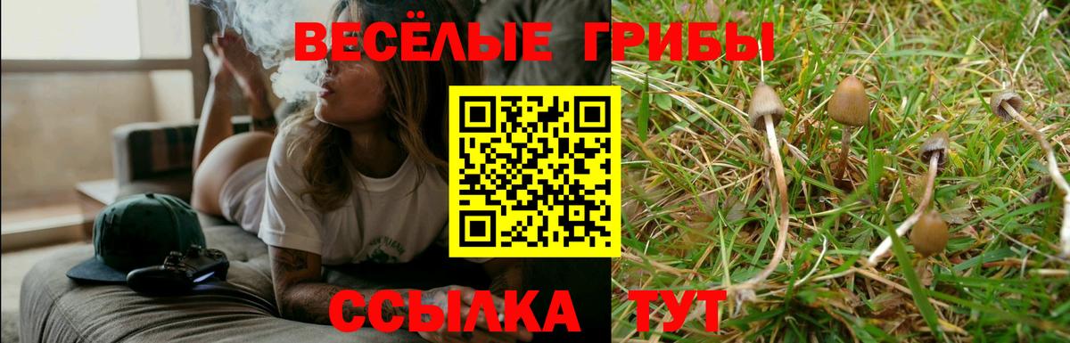 Галлюциногенные грибы ЛСД  Псилоцибиновые грибы мухоморы  Прохладный  Вход с VPN 