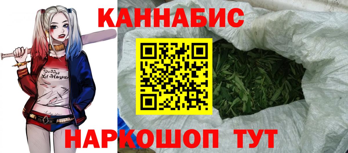 Конопля гибрид Прохладный