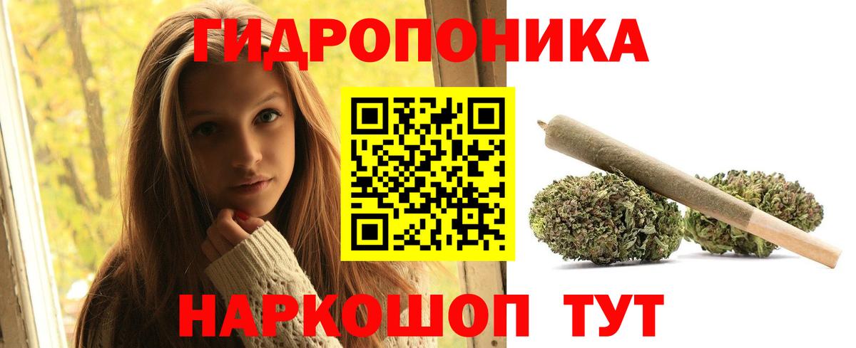 МАРИХУАНА семена  Бошки марихуана индика  Прохладный  Вход с VPN 